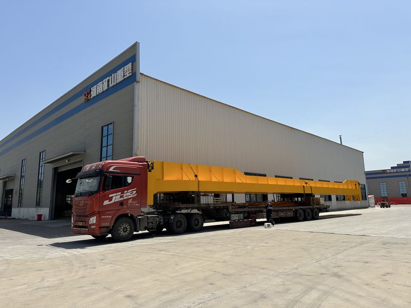 龍佰集團選用我公司QD25/5t，跨度28.5m通用橋式起重機